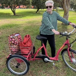 Veloomi Caddi Electric Trike