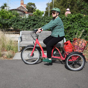 Veloomi Caddi Electric Trike