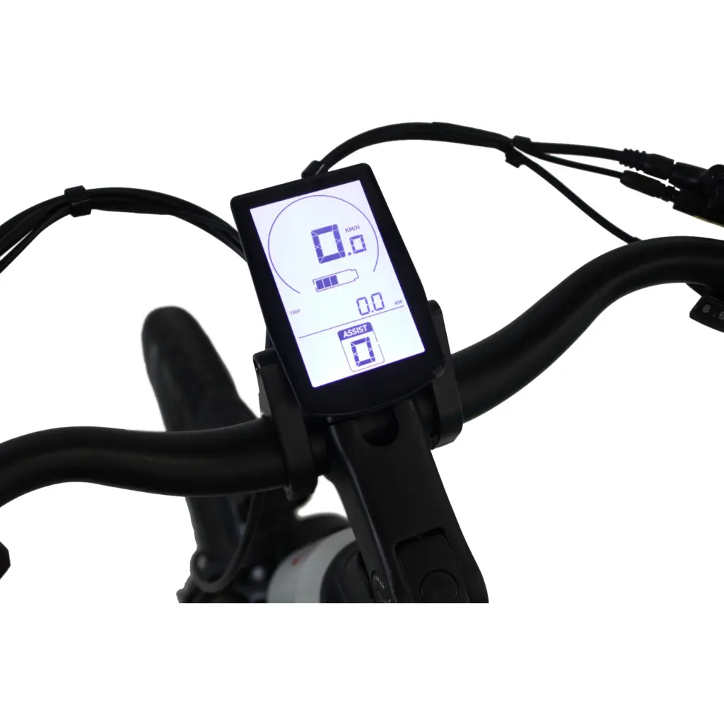 veloomi-daily-display